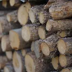 Galenblick Σαλέ *