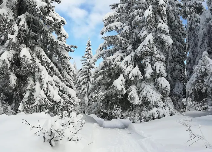 Galenblick Chalet Bellwald