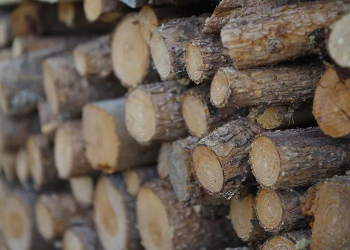 Galenblick Σαλέ *