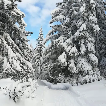 Galenblick Chalet Bellwald