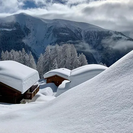 Galenblick *